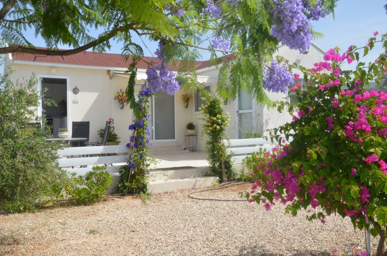 Catherine's Holiday home *