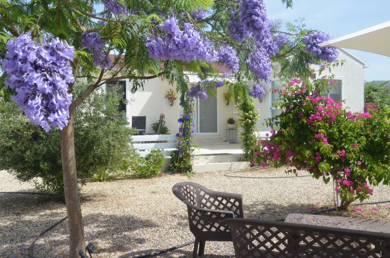 Catherine's Holiday home