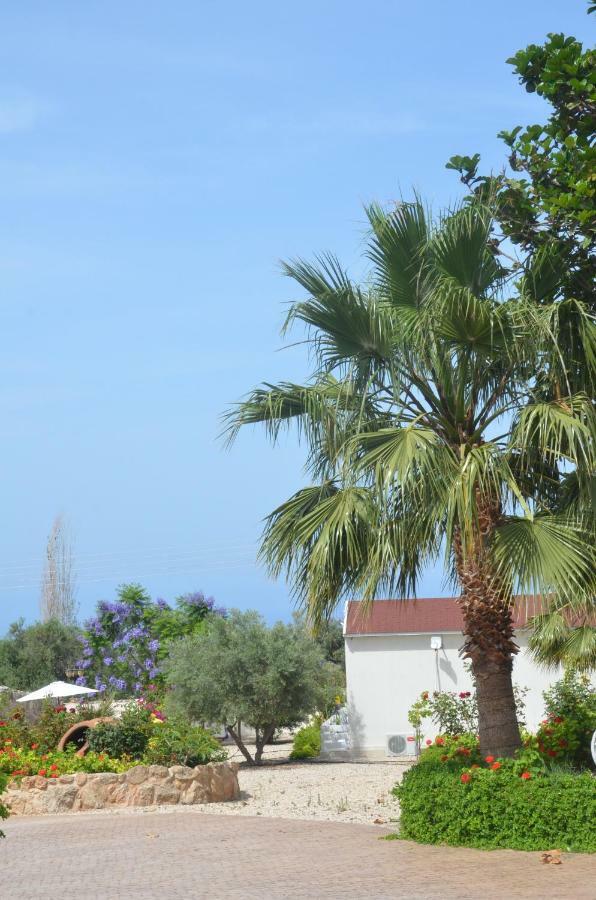 Catherine's Holiday home