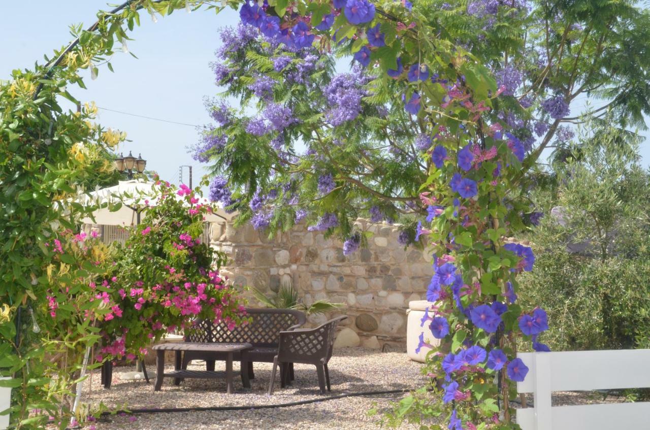 Catherine's * Paphos