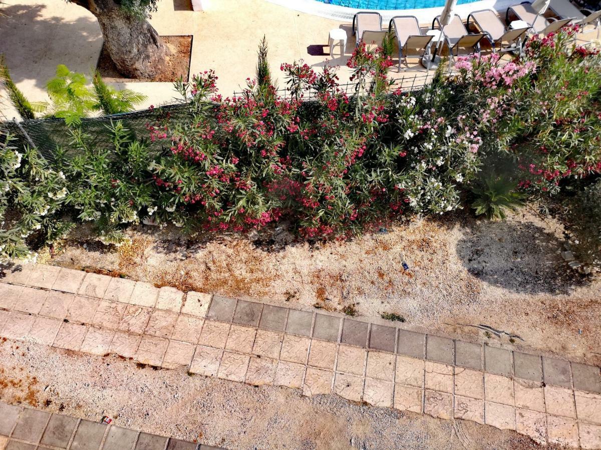 Apartment Faneromeni Court *