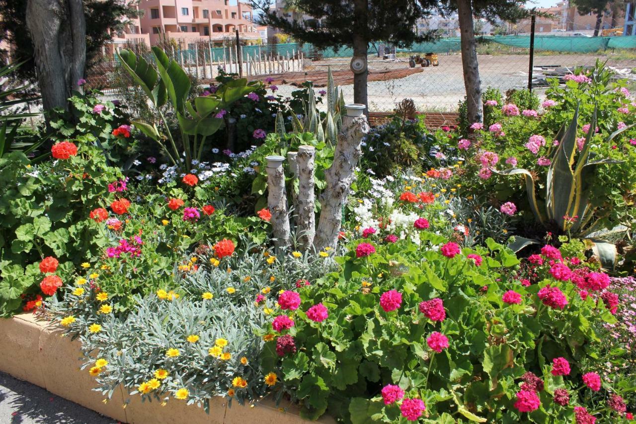 Med I-deal Escape Paphos