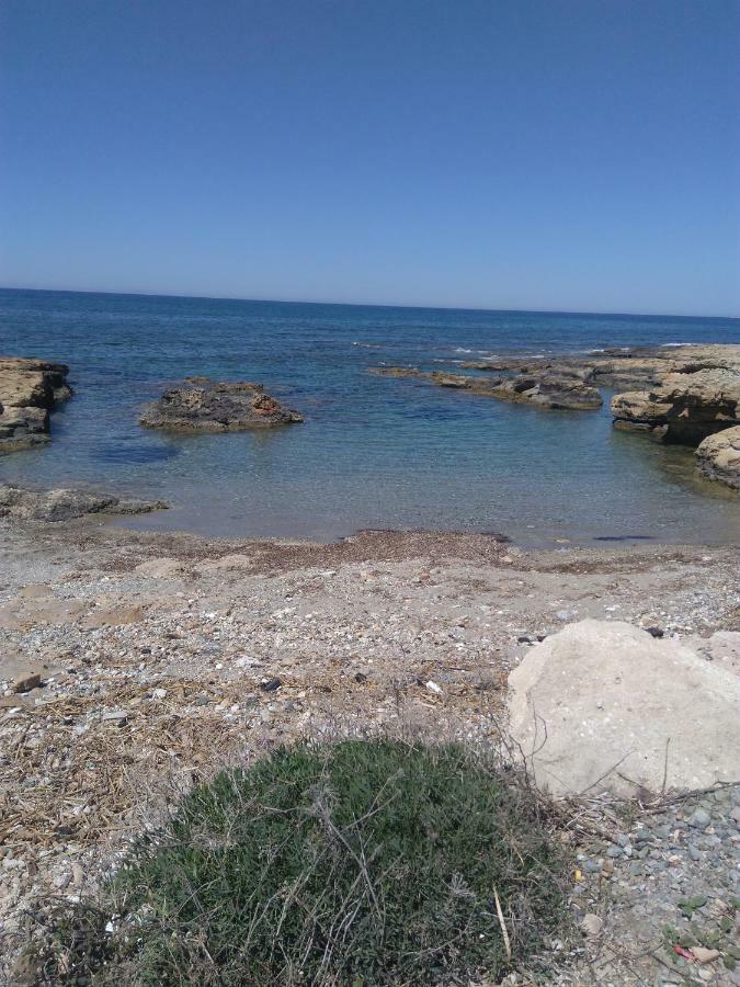 Yiota's Cute * Paphos