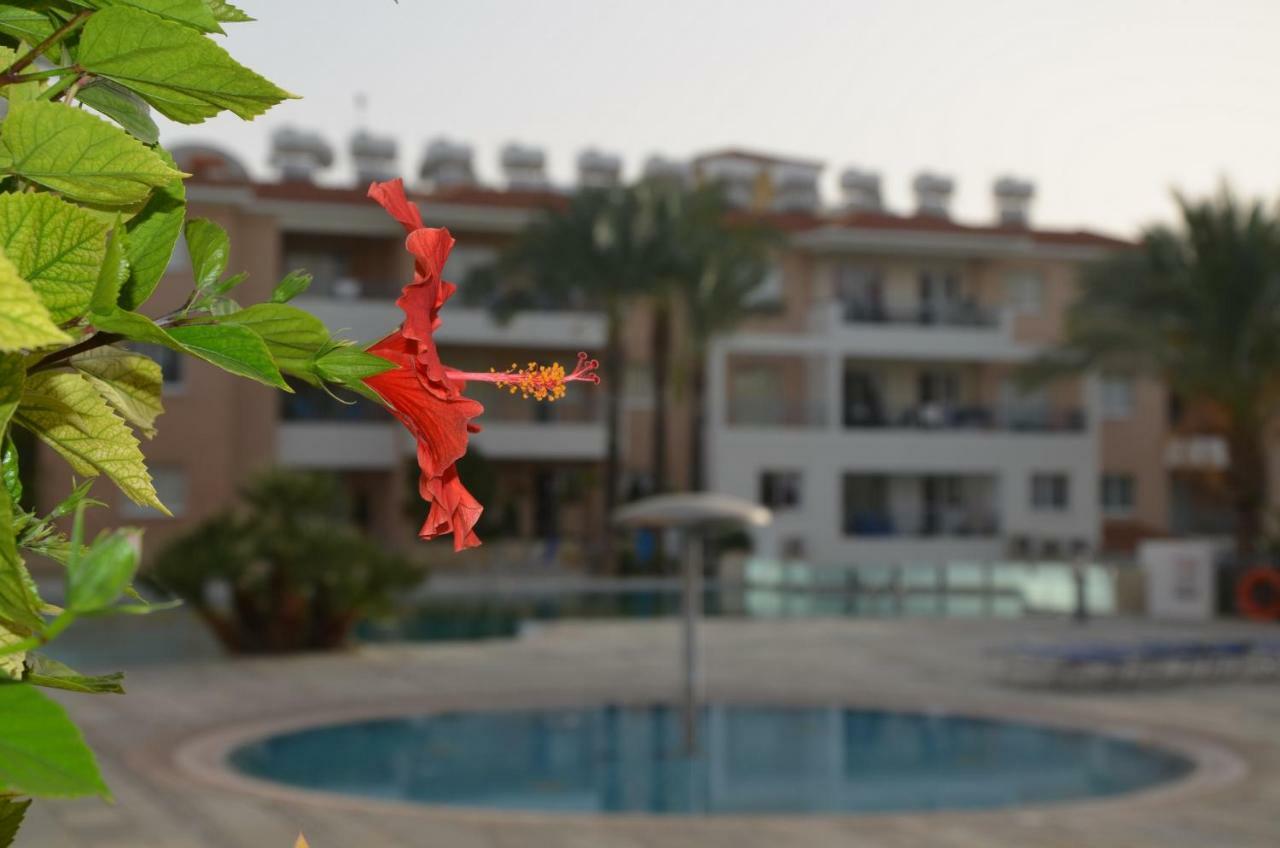Iris Village