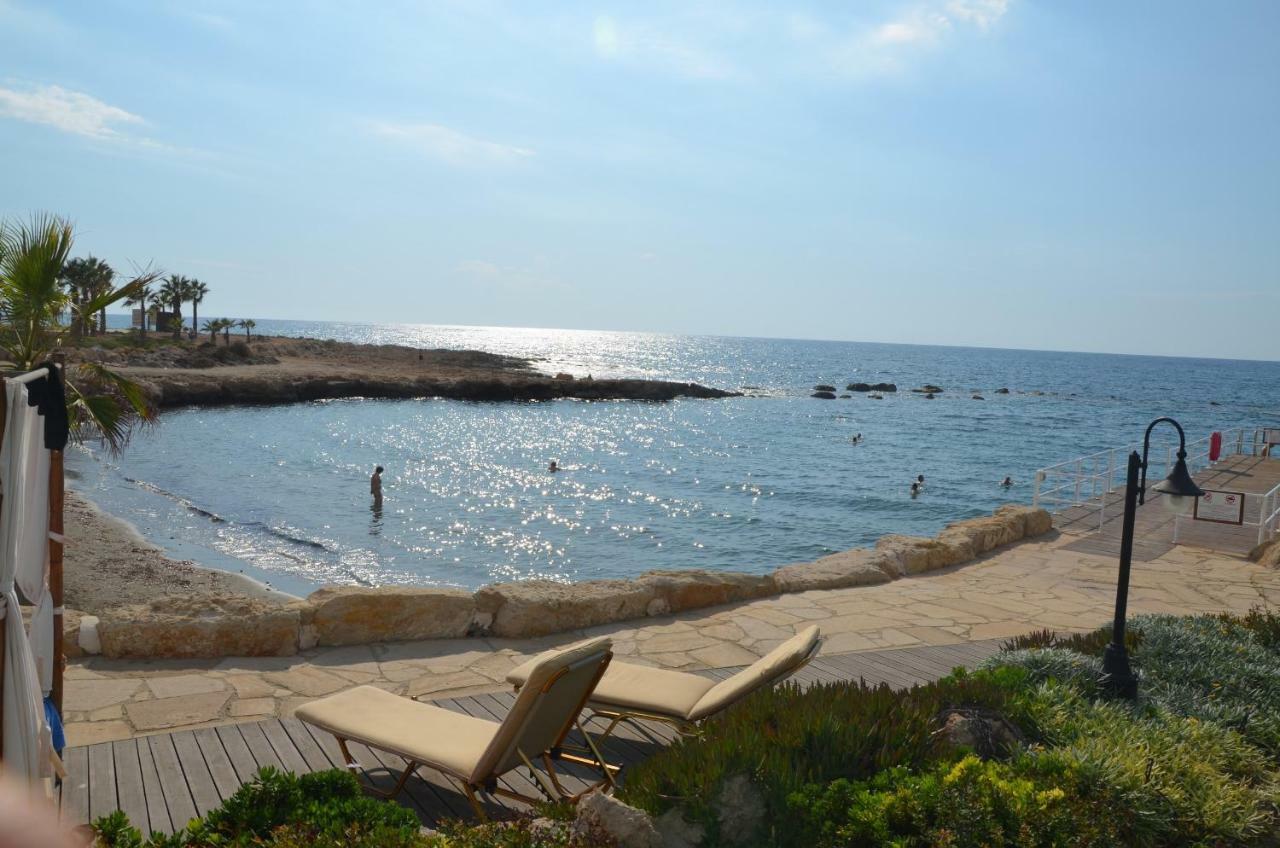 Sirena Kings * Paphos