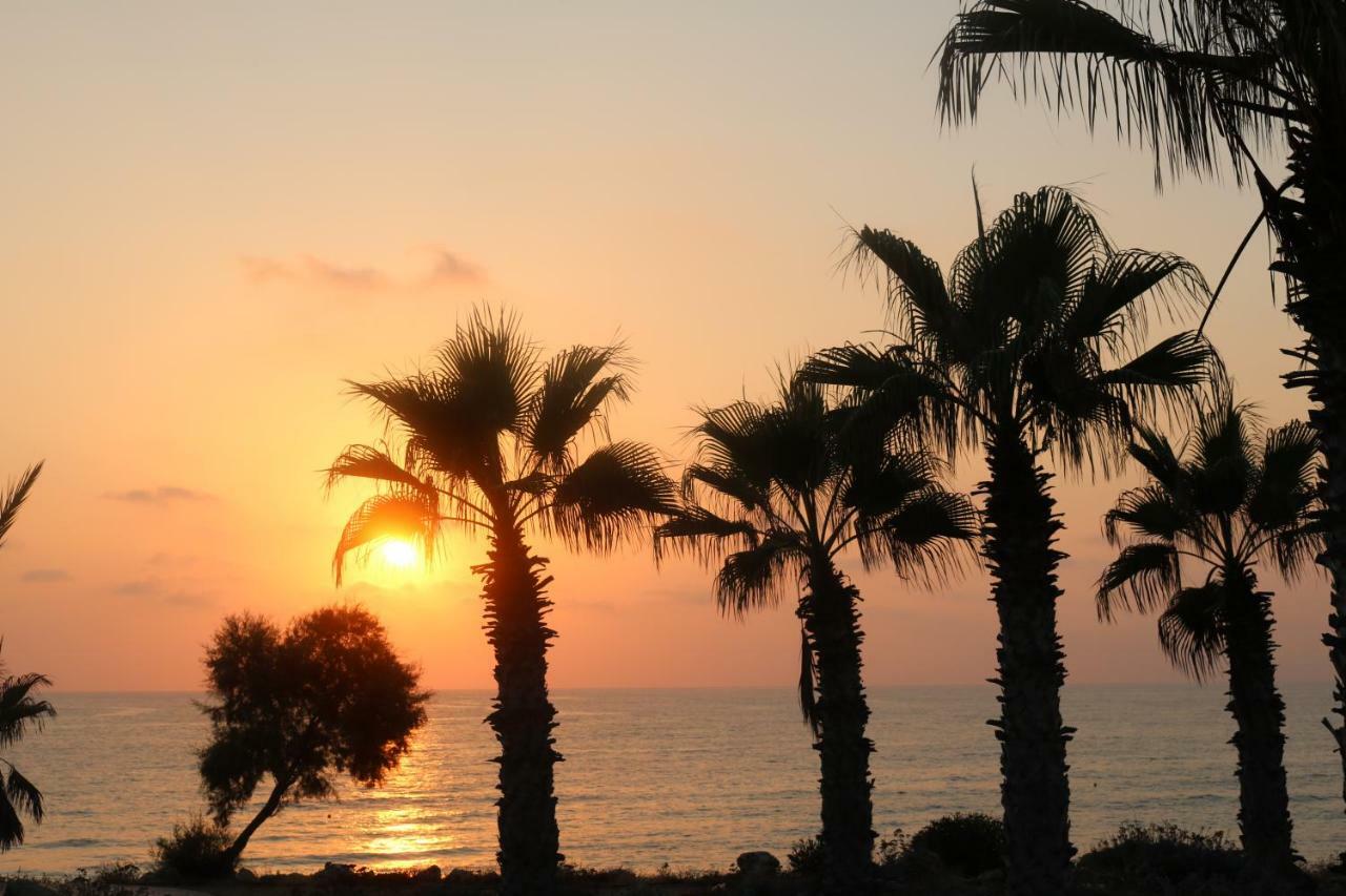 The Paradise By Taimoura * Paphos