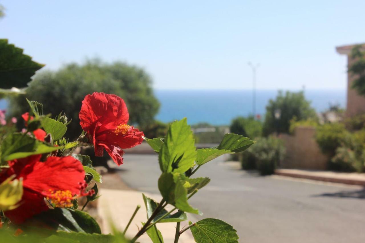 Apartamento Kings Palace Indigo 109 Paphos