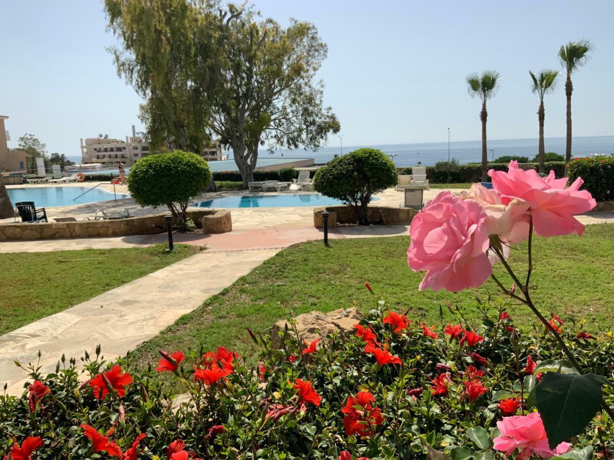 Kings Palace Indigo 109 * Paphos