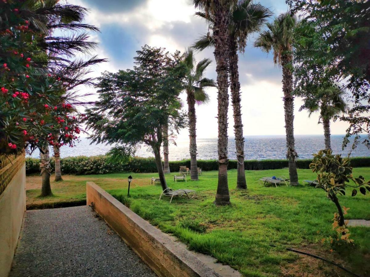 King Alexander 22 Paphos