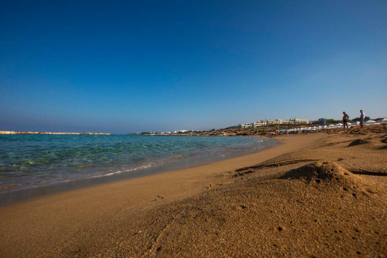 Hotel Venus Beach
