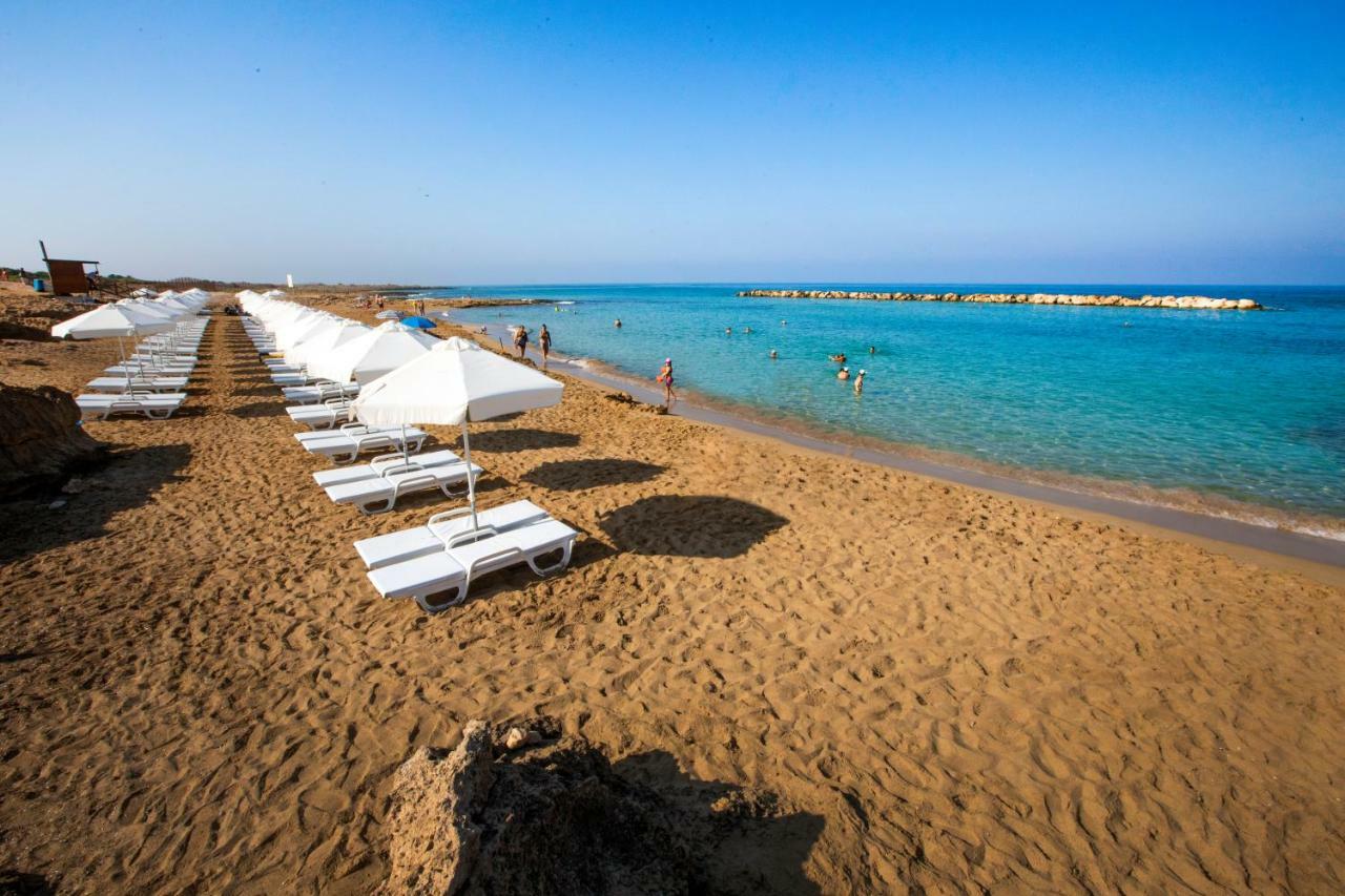 Venus Beach