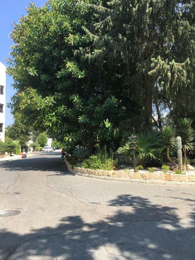 Gardens-apt Apartment Paphos
