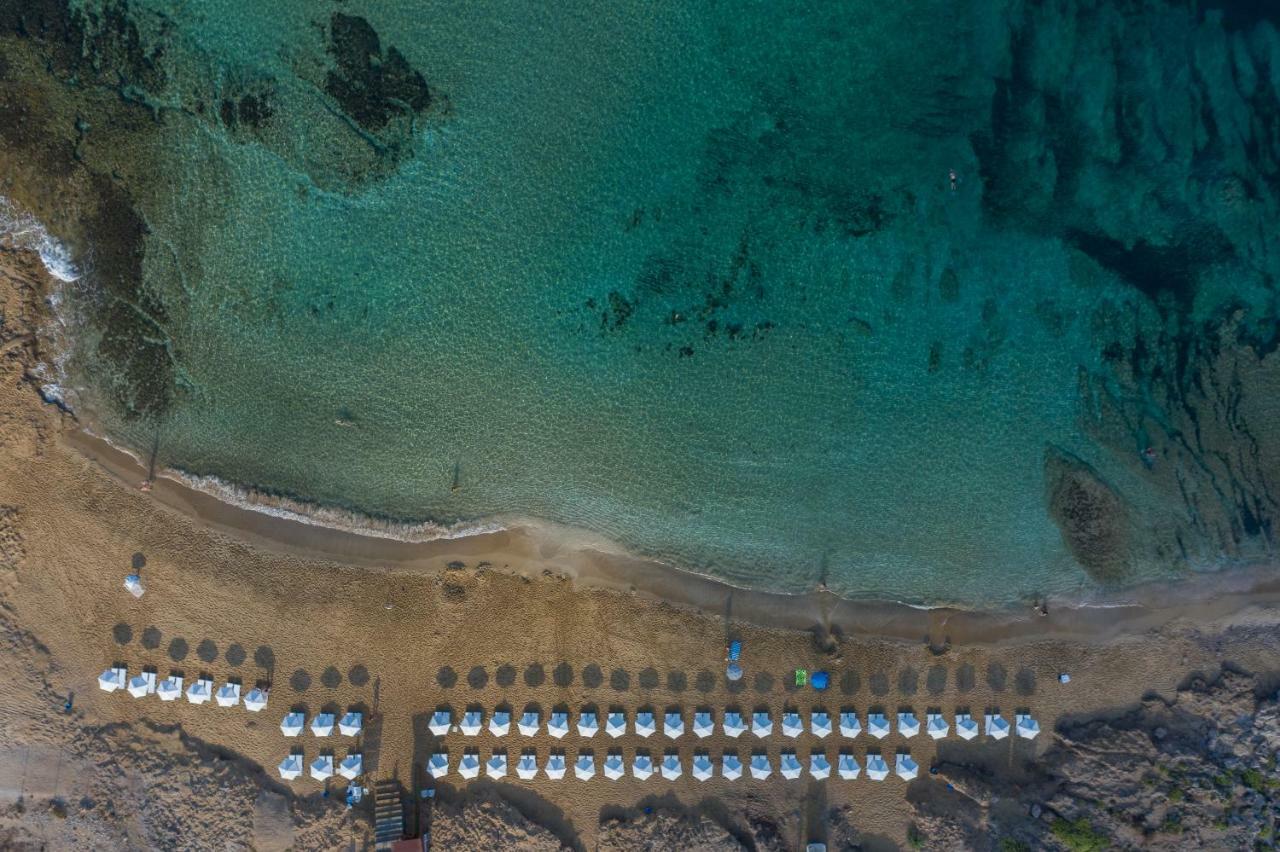 Hotel Venus Beach 5*