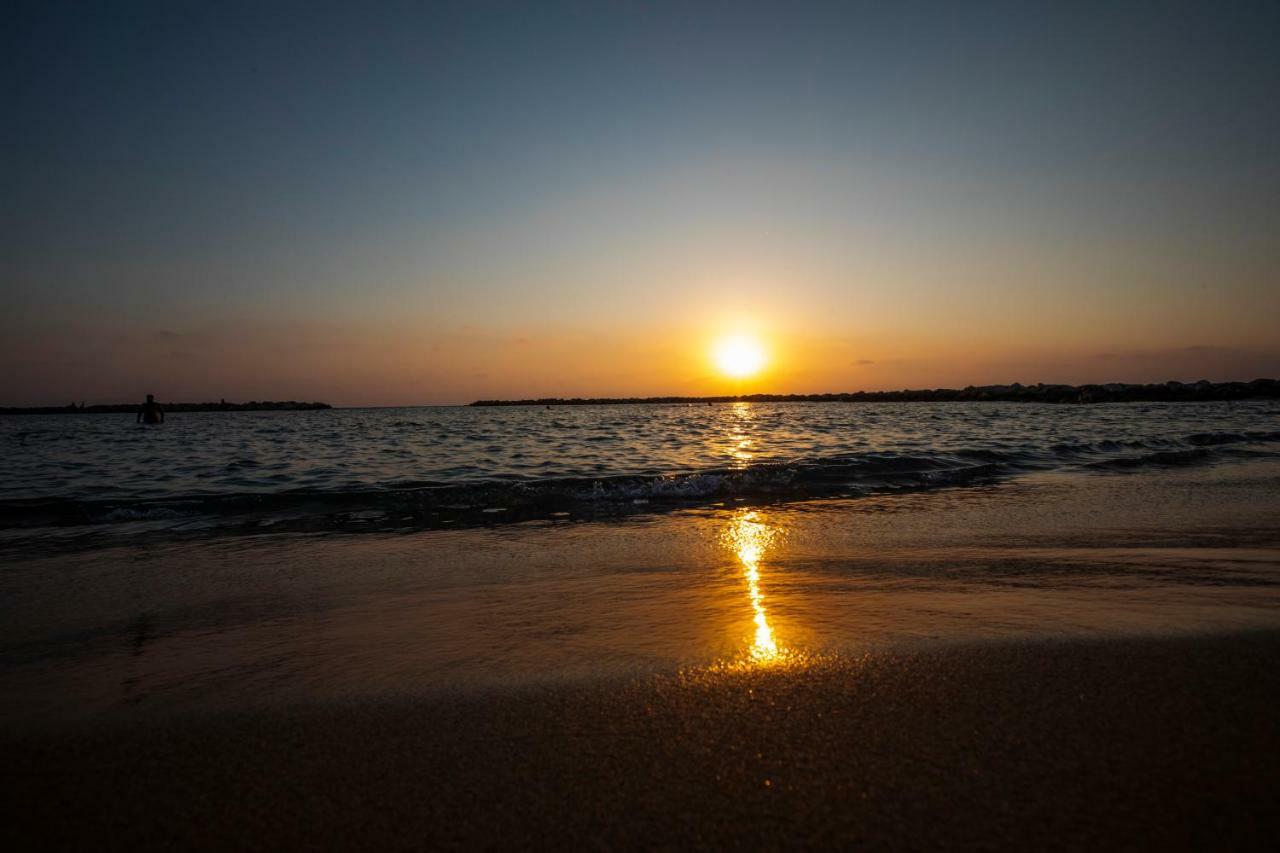 Venus Beach