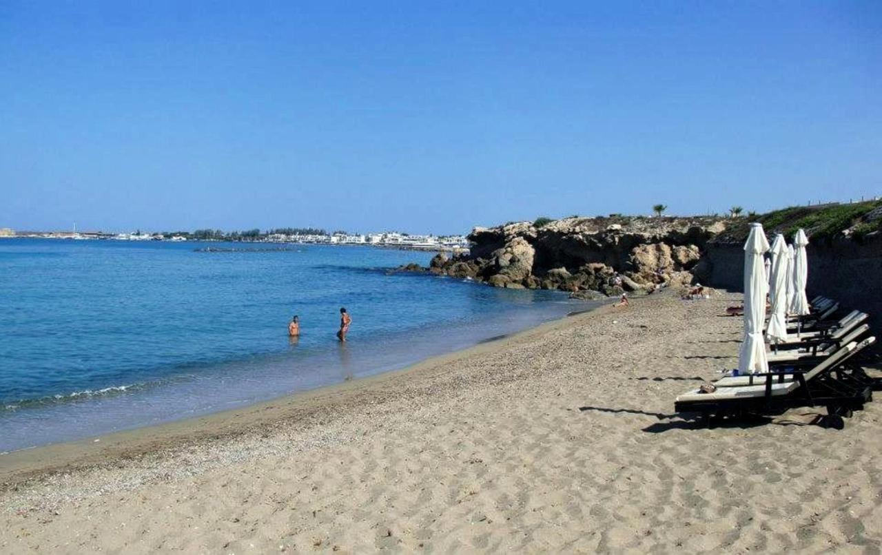Amphora & Paphos