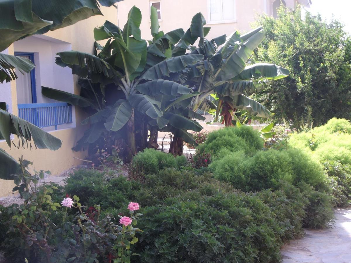 Kefalonitis Aparthotel Paphos