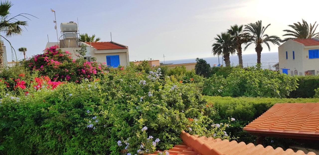King Alexander Paphos