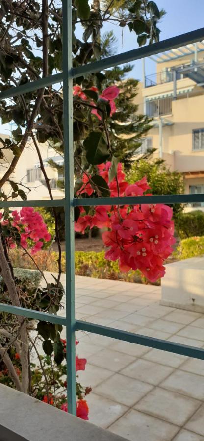 Pelagos Hill Apartment *