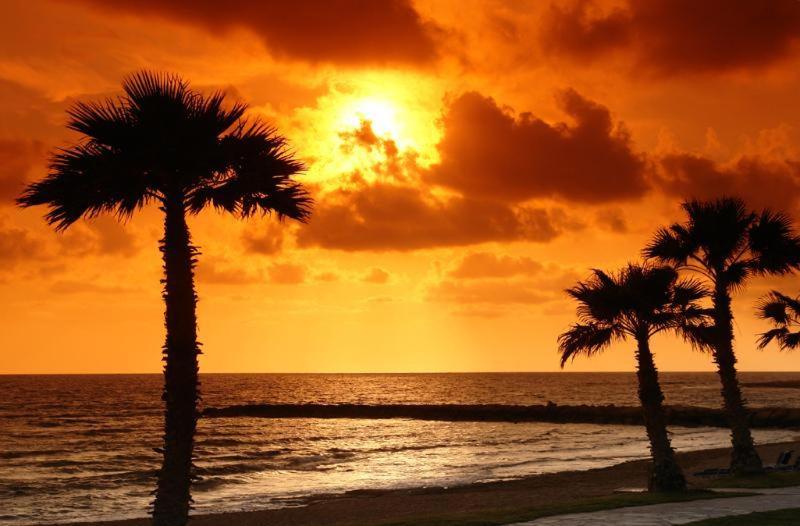 Apartment Victoria Holiday Paphos
