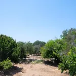 DREAM- Studios