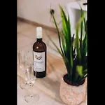 H&O Royal Townhouse In Center Paphos