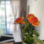 1-Bed Cosy Apartment Close To Paphos Beach