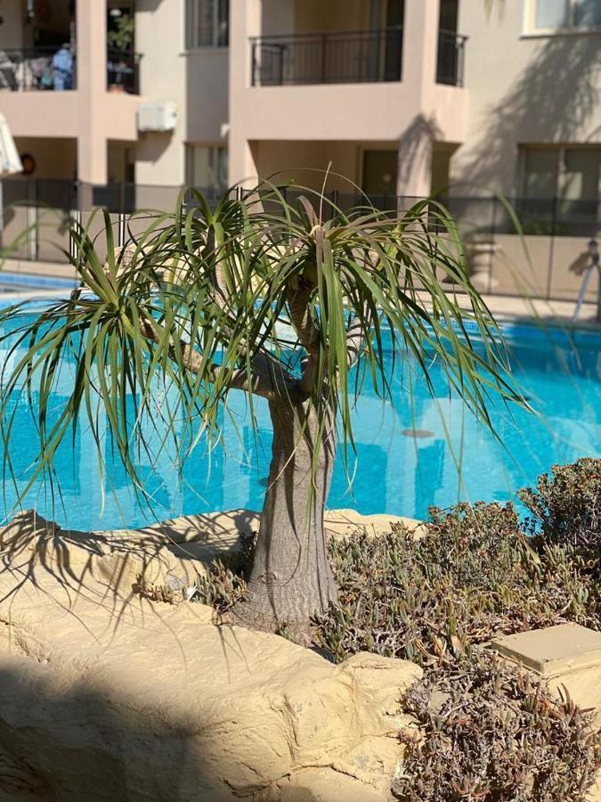 Royal Seacrest Modern Ground Floor C G 5 * Paphos