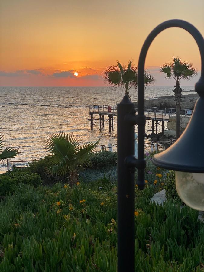 Apartment Royal Seacrest Modern Ground Floor C G 5 Paphos