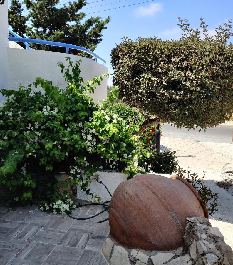 Lovely 1-bedroom Unit @ Fabulous Location Apartment