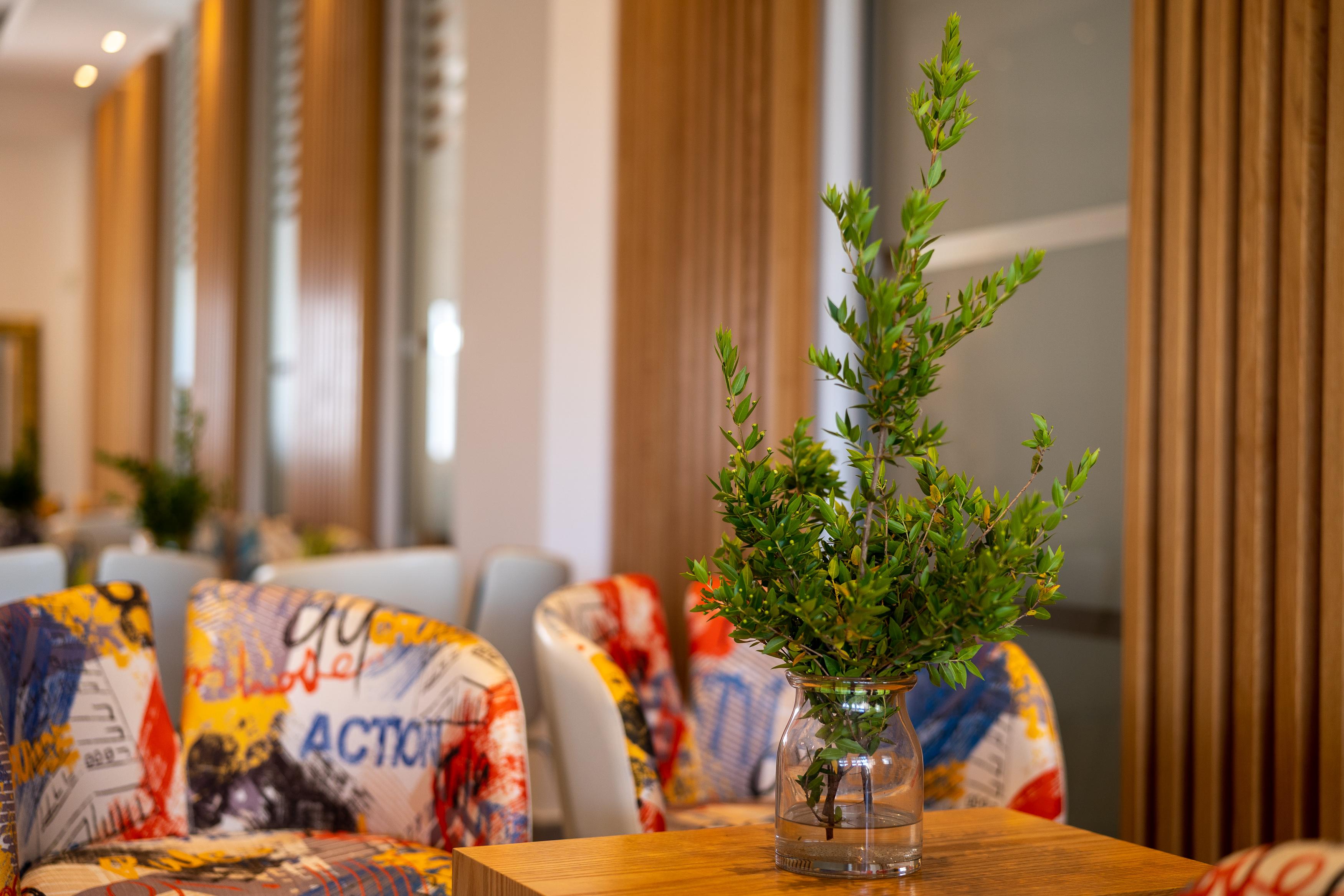 Vrachia & - Adults Only Aparthotel Kissonerga