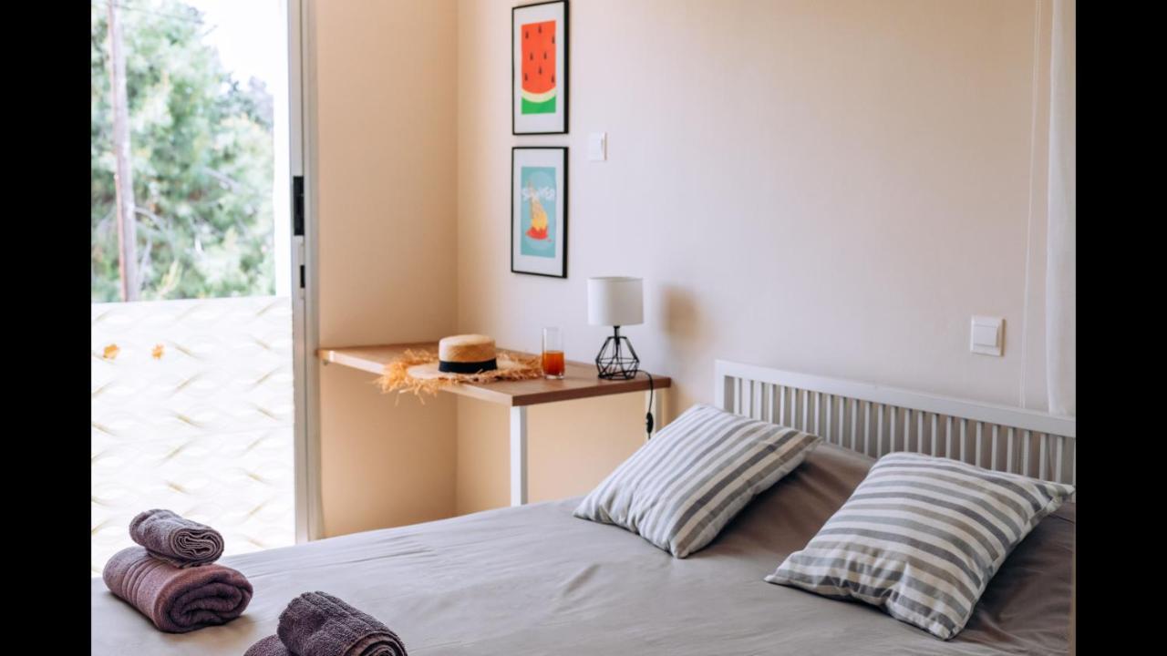 Procy-105 In Center Ideal For Short And Long Rent * Paphos