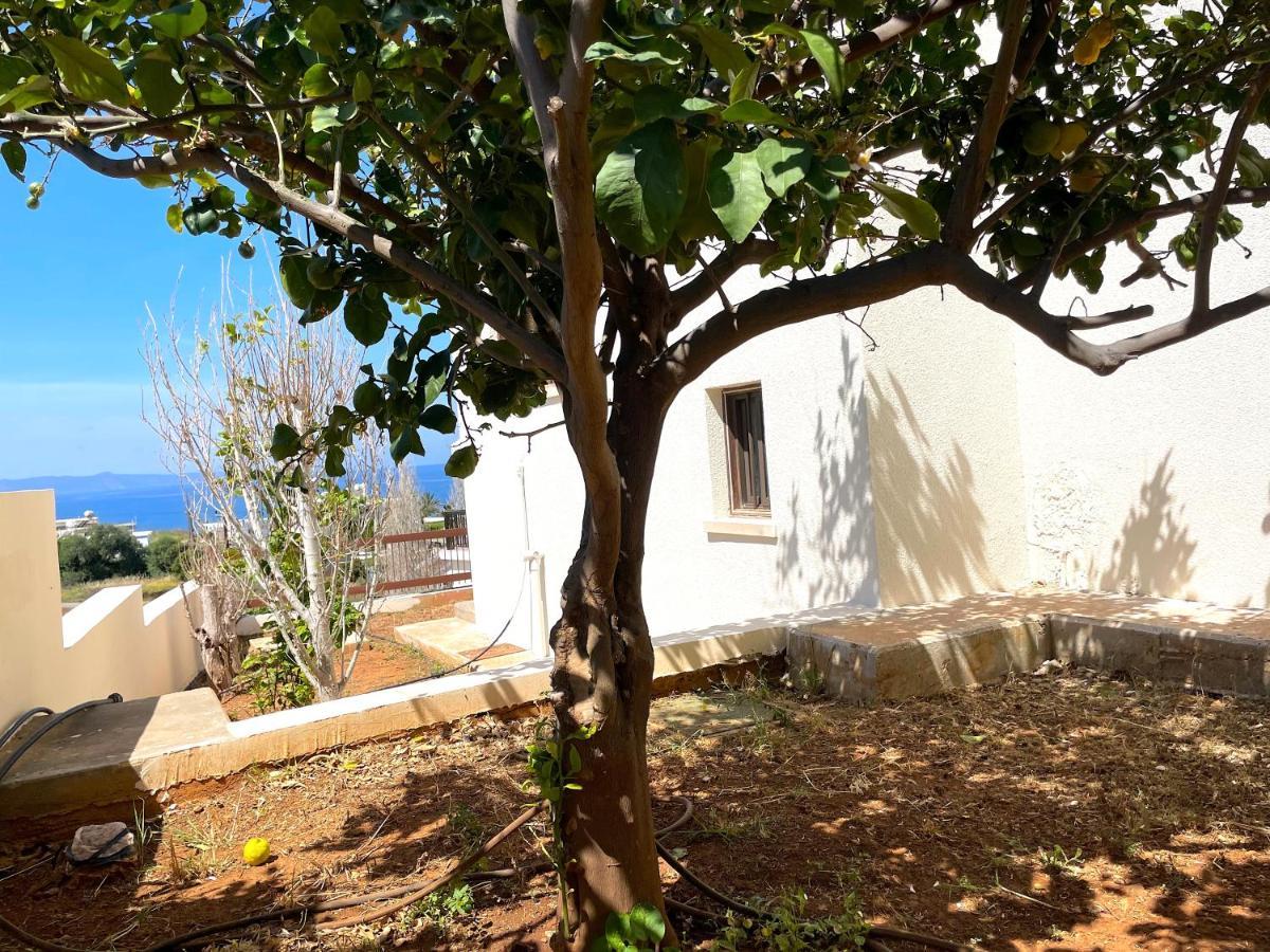 Pousada Nysa7 Paphos