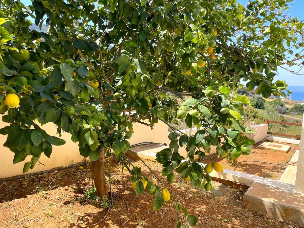 Pousada Nysa7