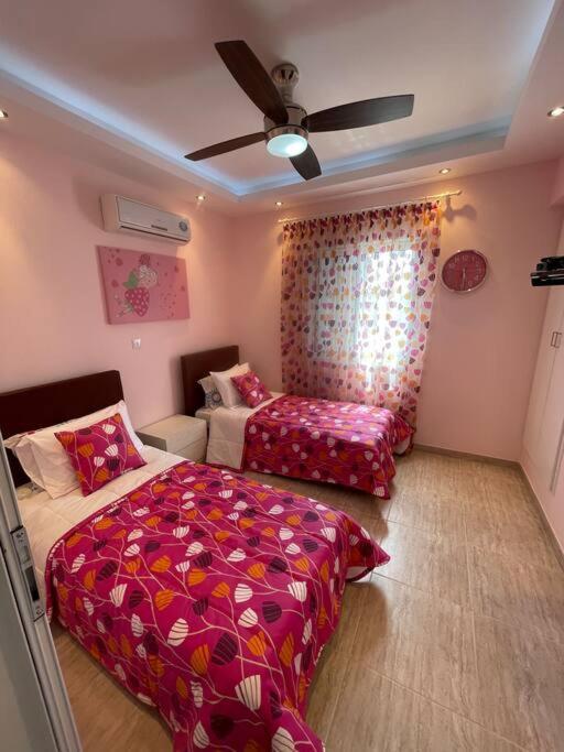 Apartment Nerina
