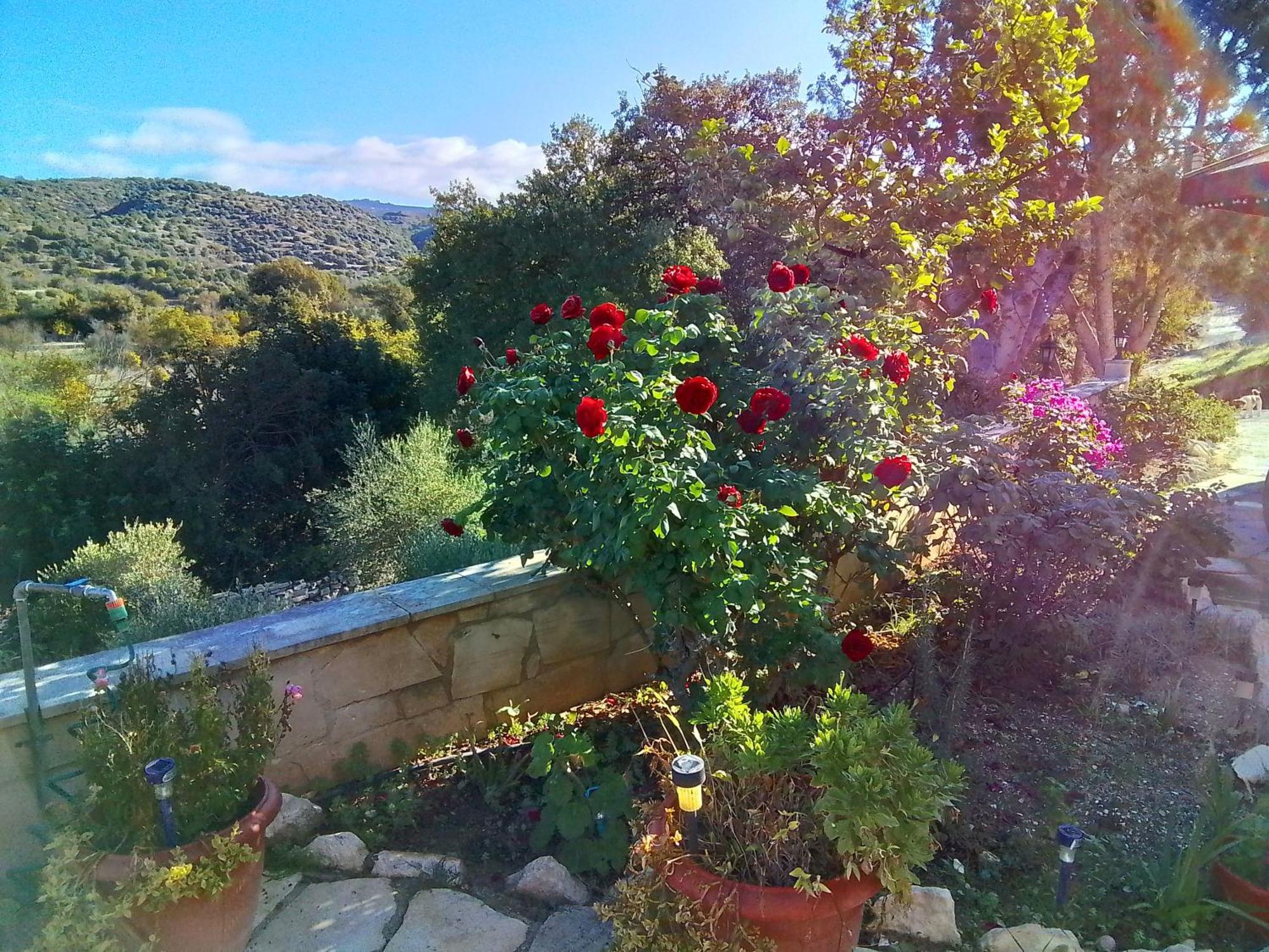 Despina Country Retreat Homestay