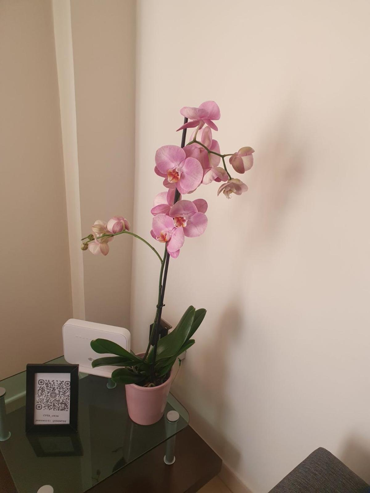 2 Bedroom Apartment, Zygos Centre Block D - By Imh Travel & Tours Apartment Paphos