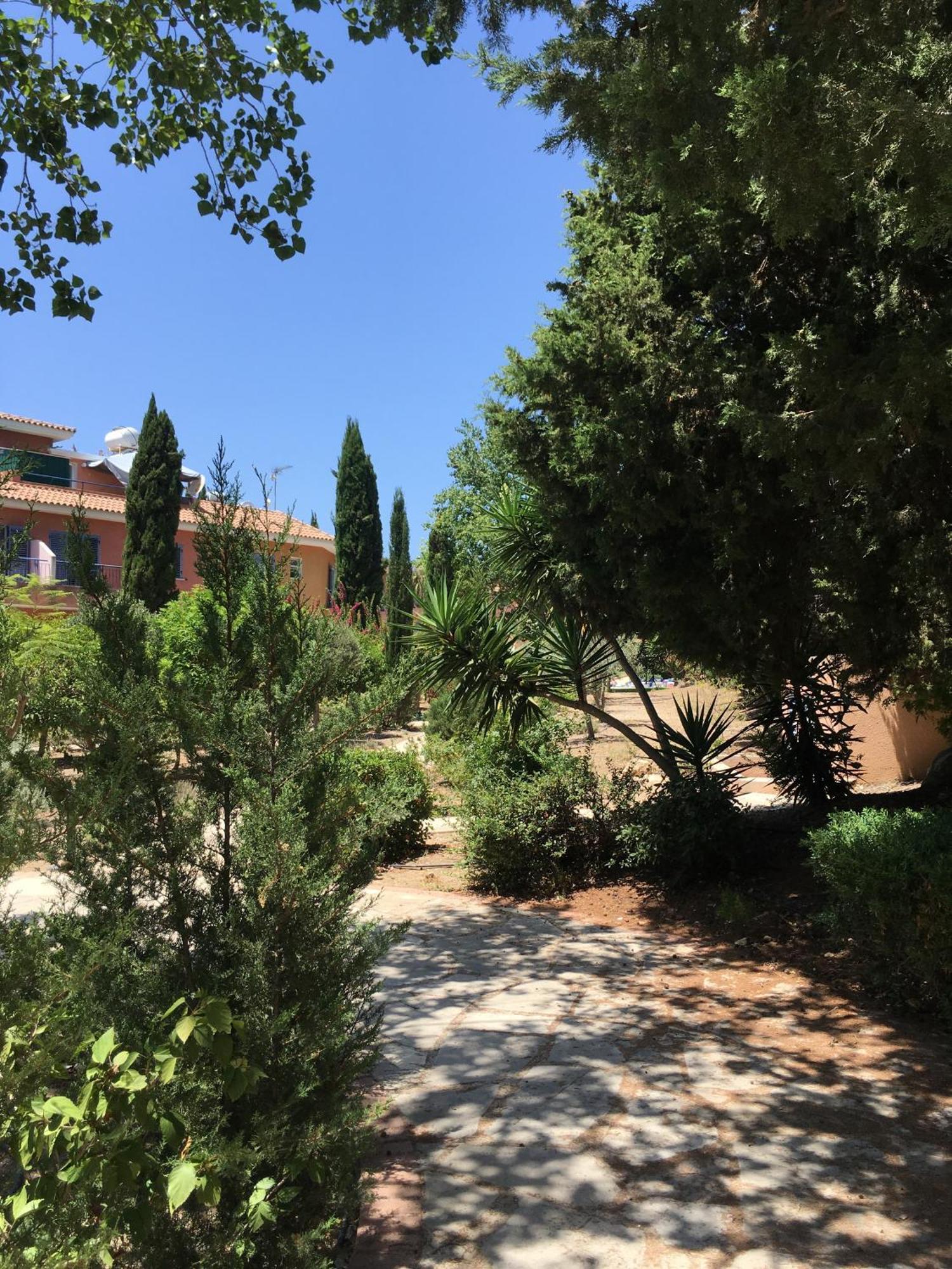 Limnaria Kato - Wonderful Near The And Facilities * Paphos