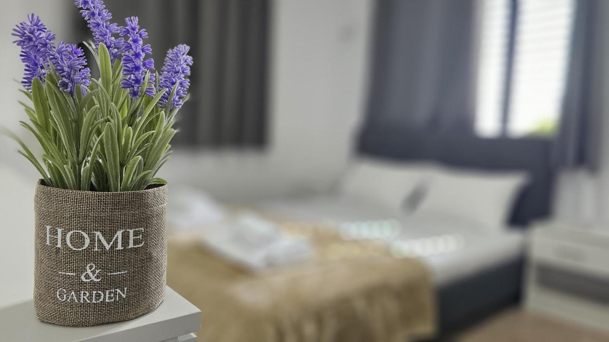 Apartamento Tranquil Haven *