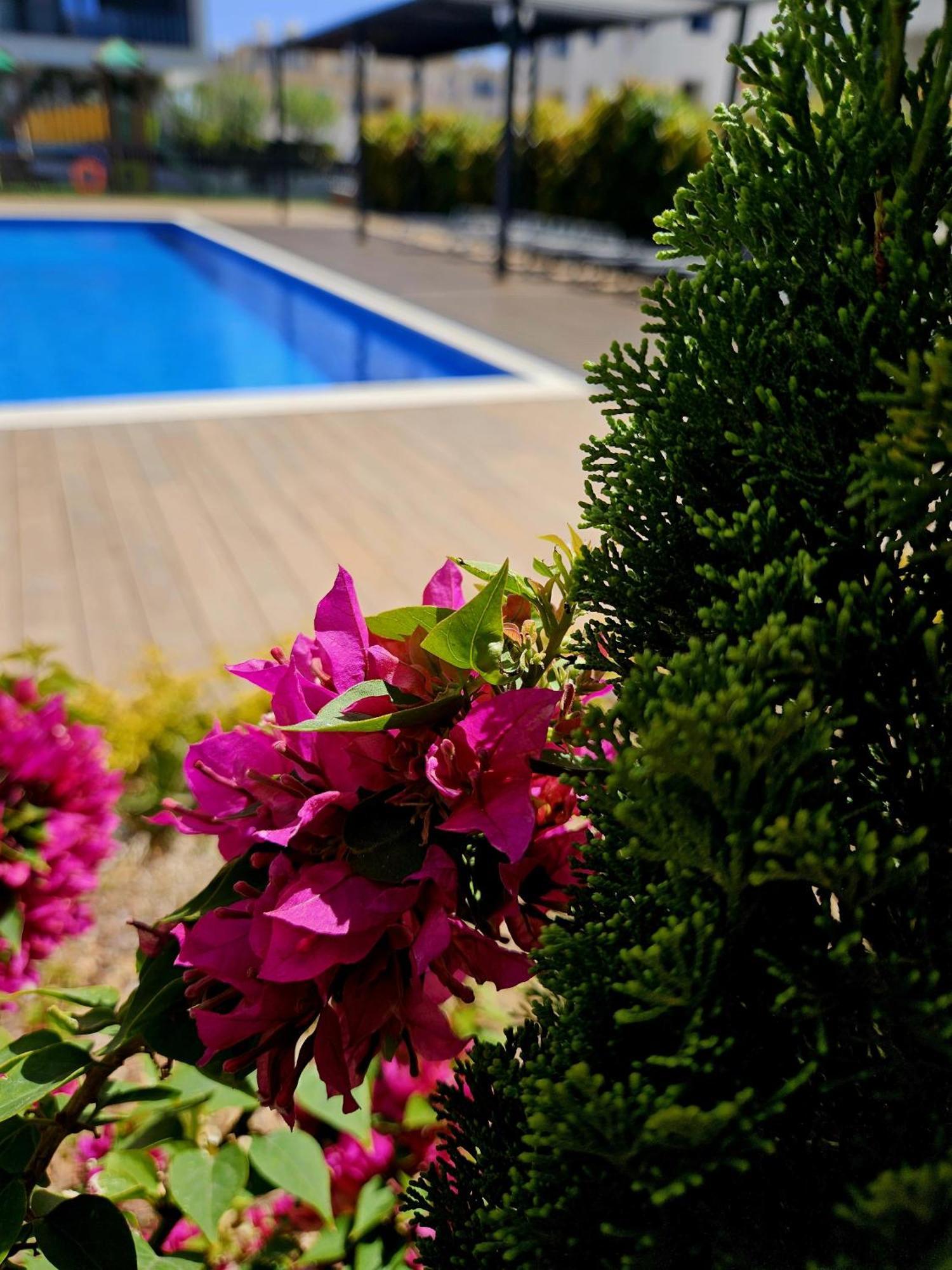 Heritage Paphos, Luxury Duplex With Private Pool Apartment