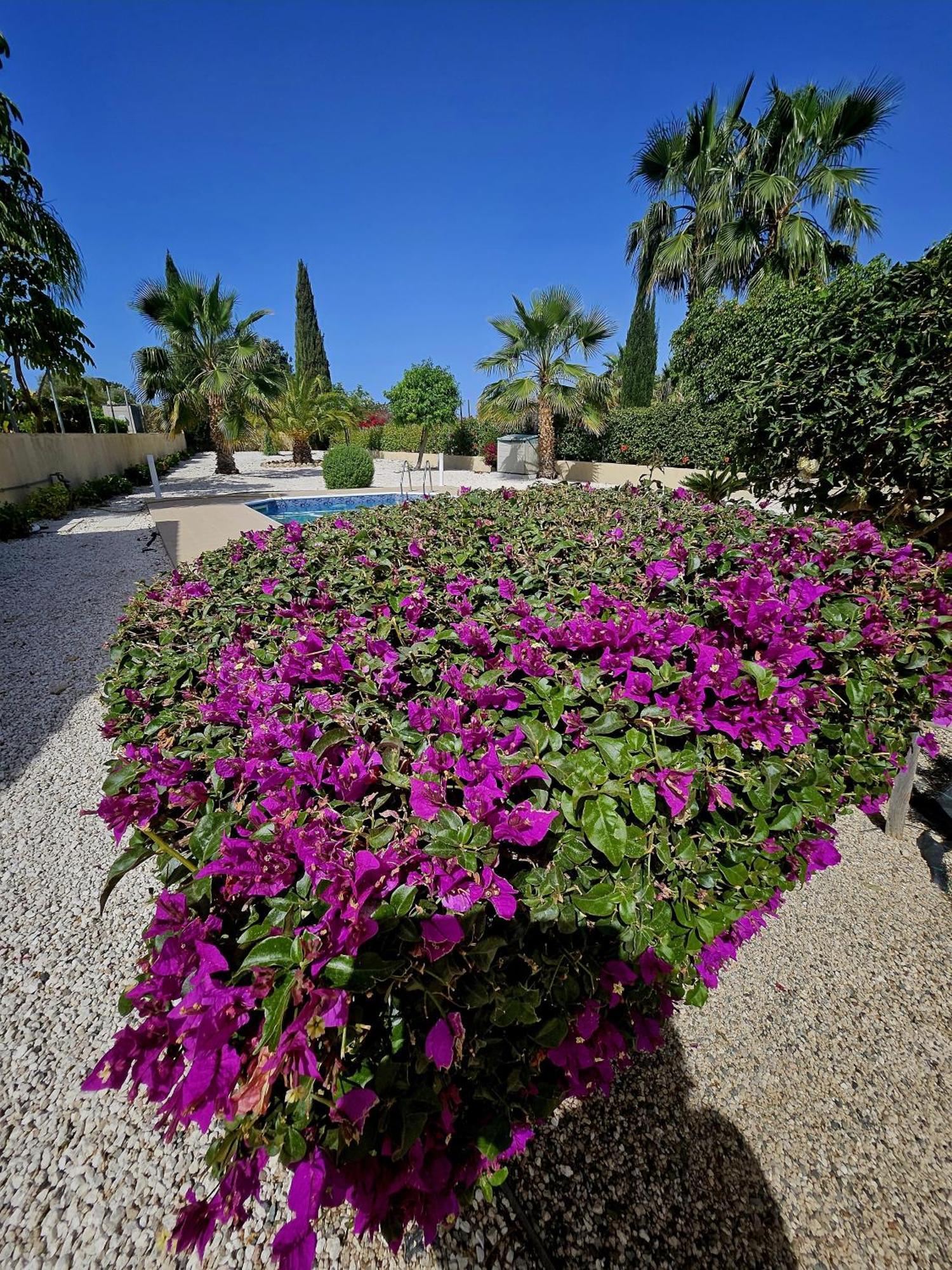 Modern 3 Bedroom Villa, Pool And Close To Golf Course Villa