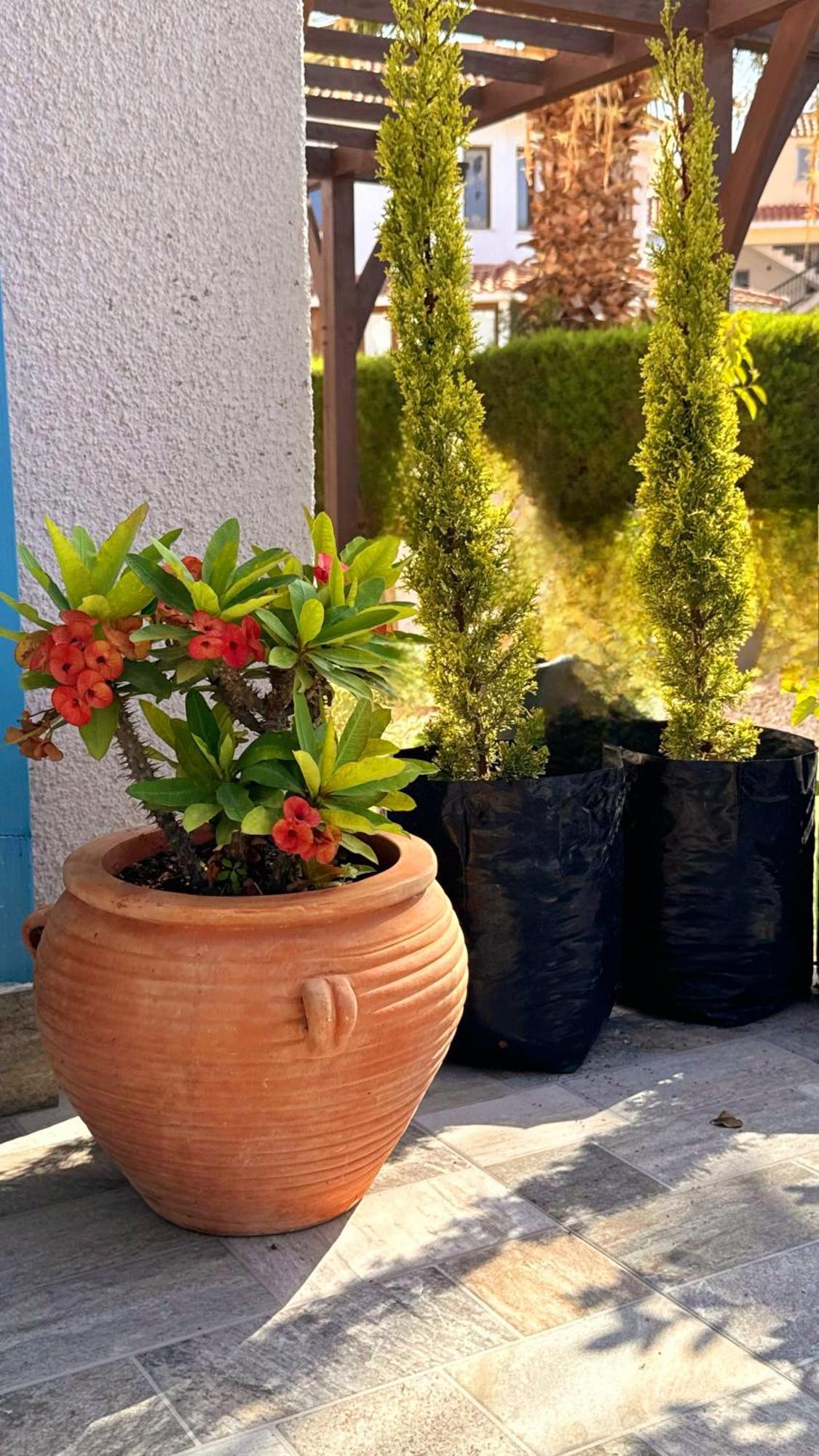 Beautiful 1 Bedroom 600 Meters From The Sea Venus Paphos