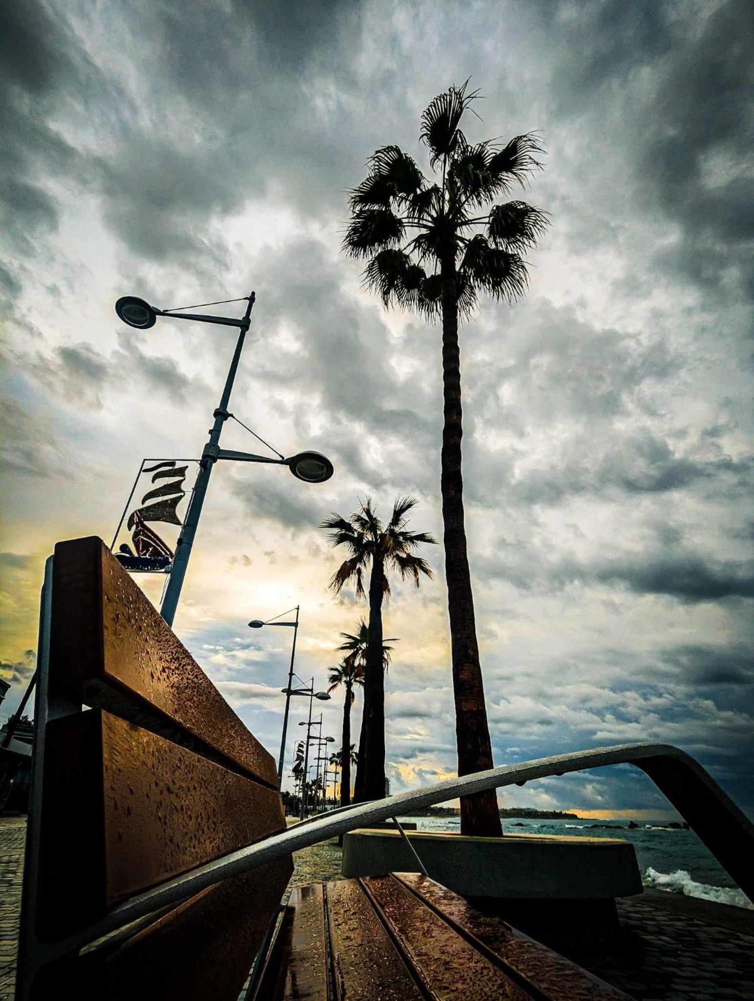 Bohemian Rhapsody * Paphos