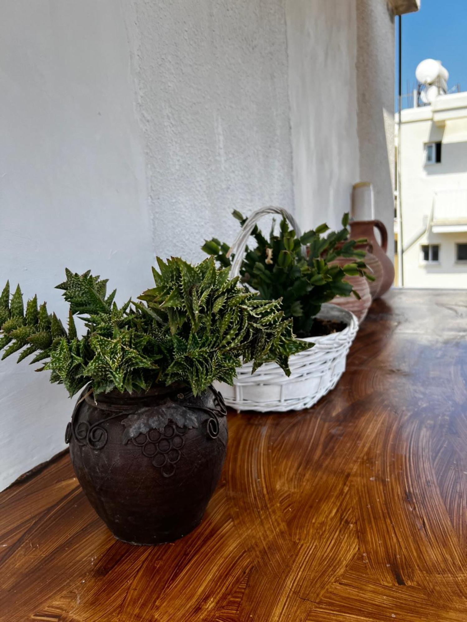 In The Heart Of Kato Paphos