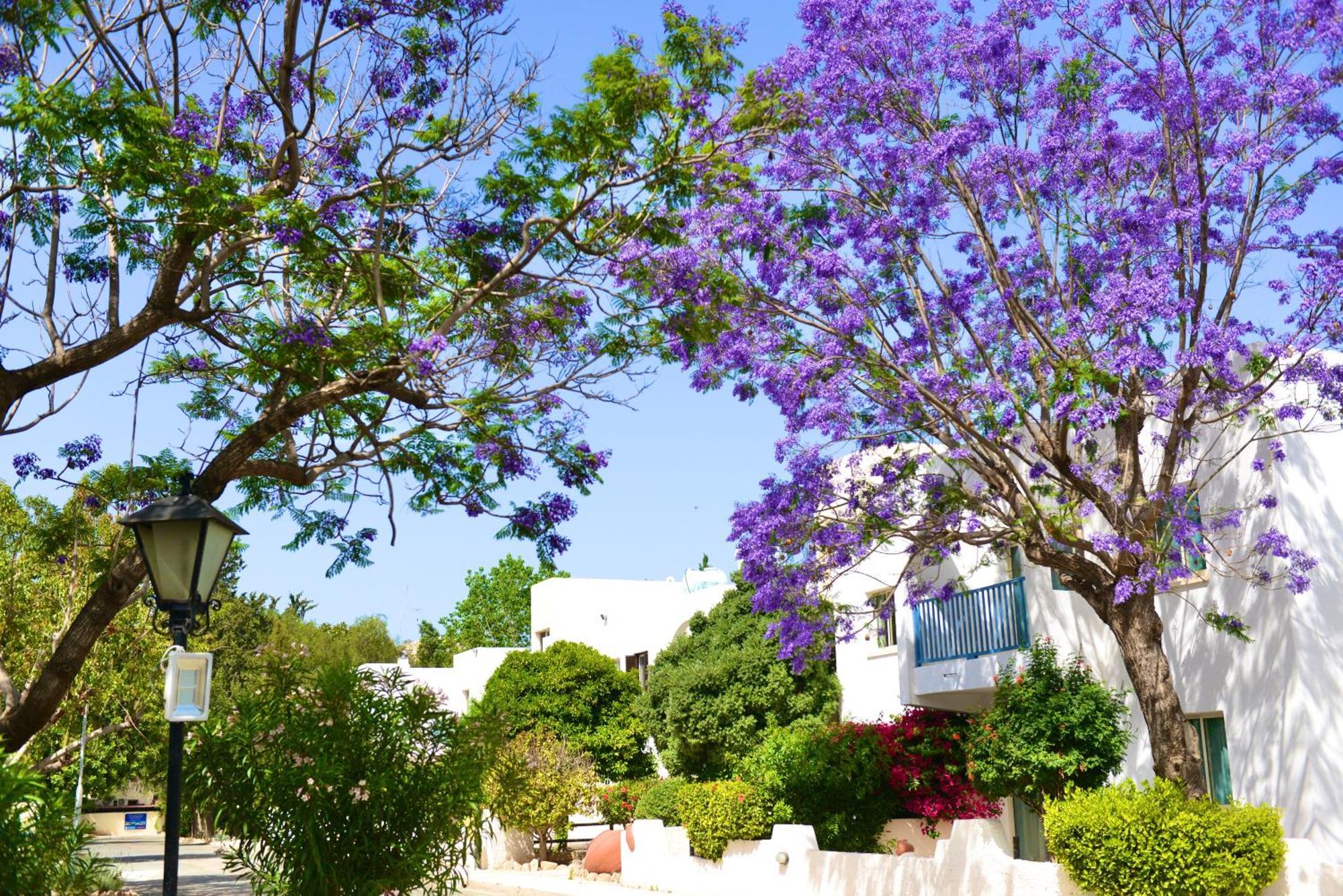 Aparthotel Gardens