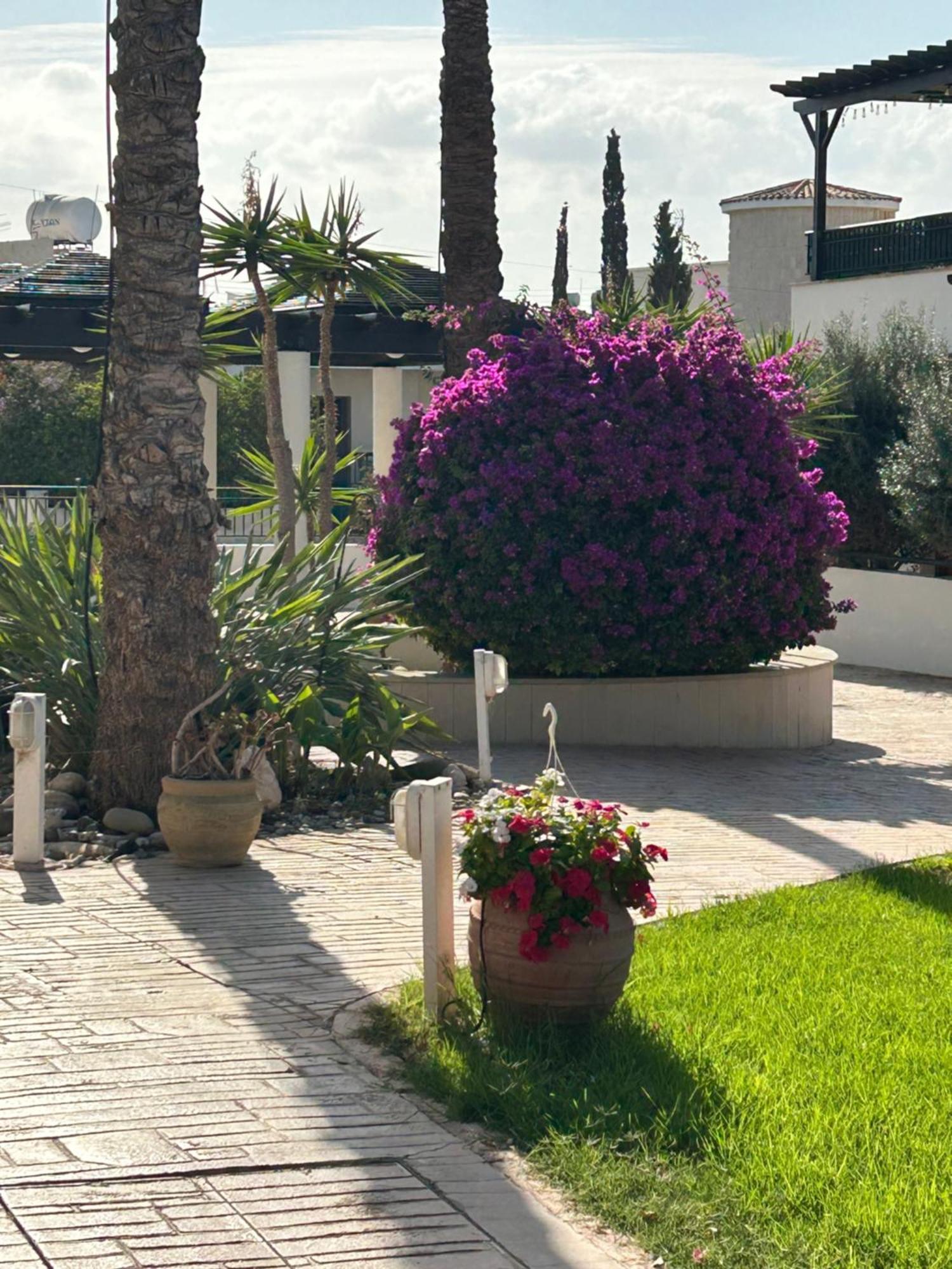 Lovely 2 Bed Aphrodite Gardens, Paphos, Cyprus Apartment Paphos