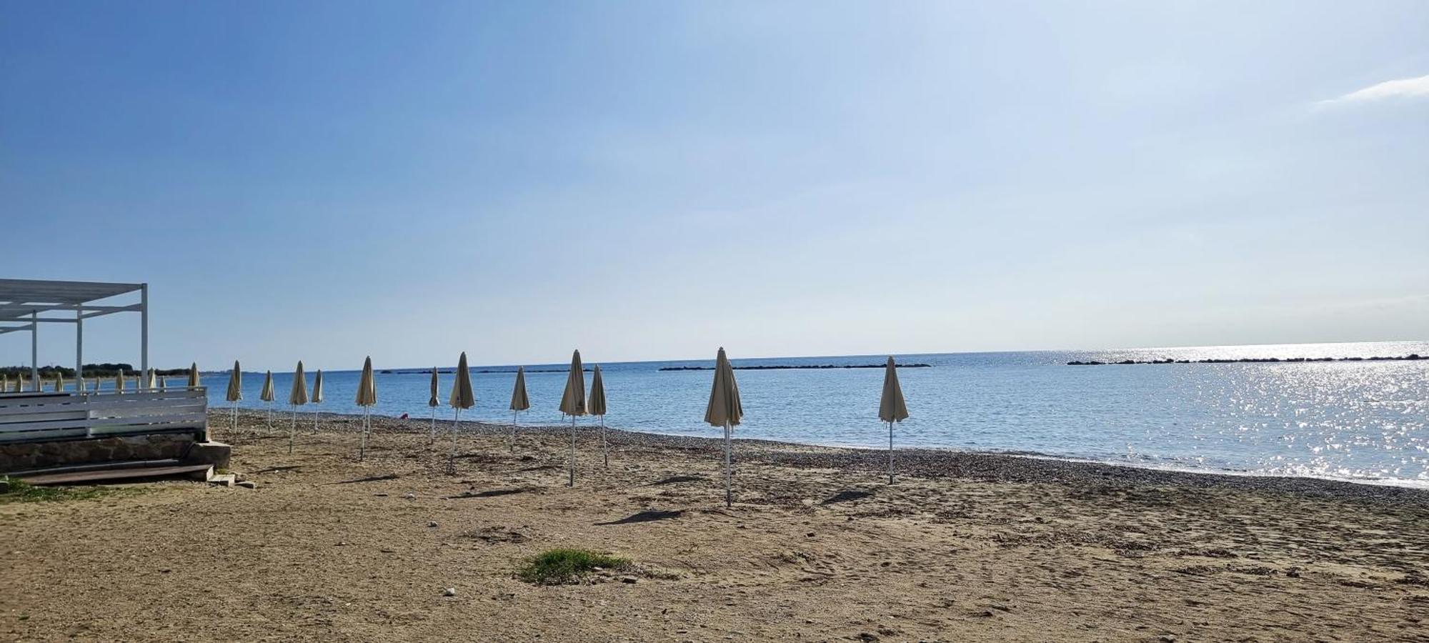 Shanti * Paphos