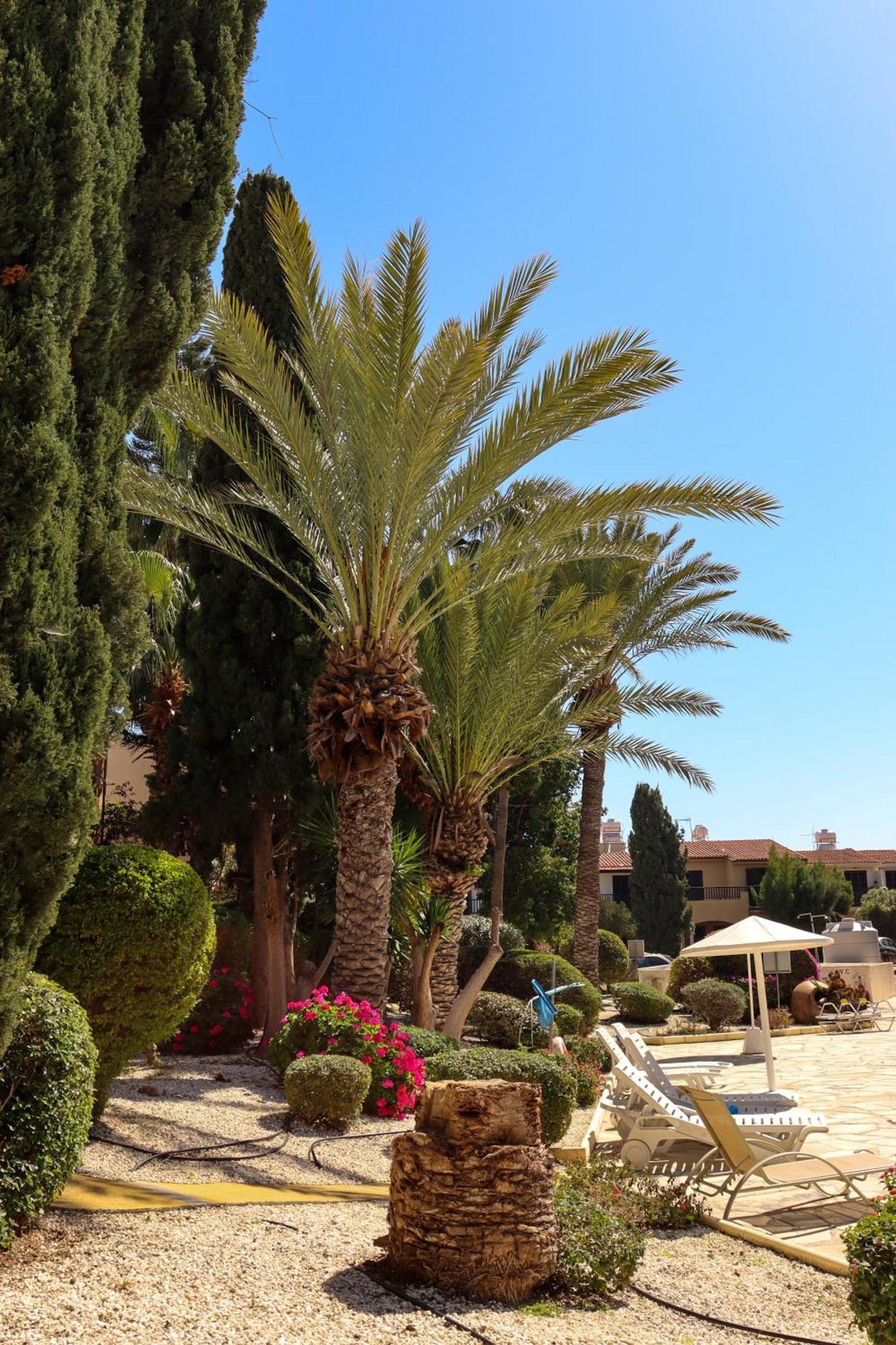 Apartment Horizon Gateway 1b, Paphos, Pool Paphos
