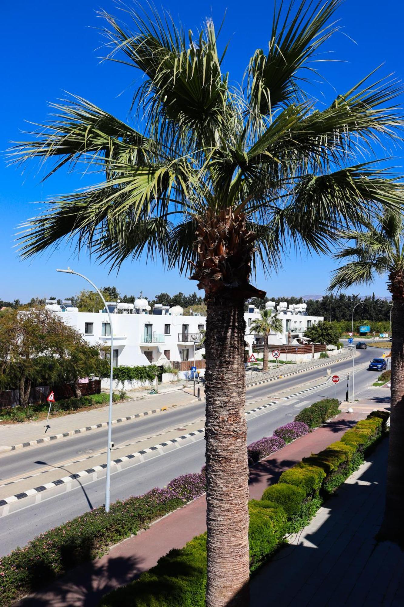 Horizon Gateway 1b, Paphos, Pool Apartment Paphos