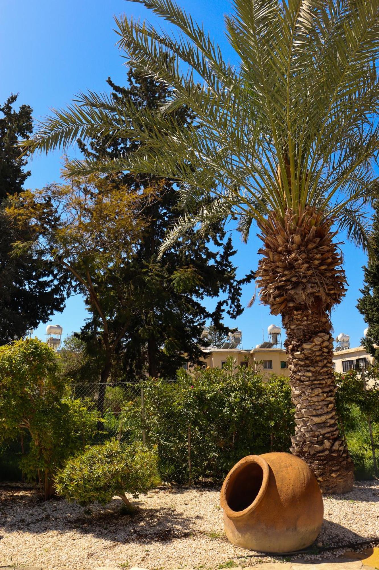 Apartment Horizon Gateway 1b, Paphos, Pool Paphos