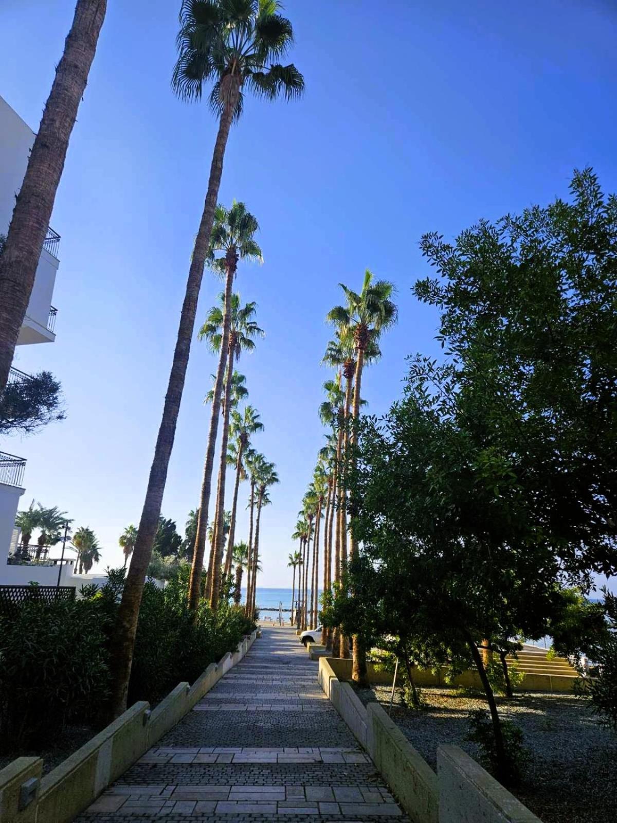 Apartment In The Heart Of Paphos